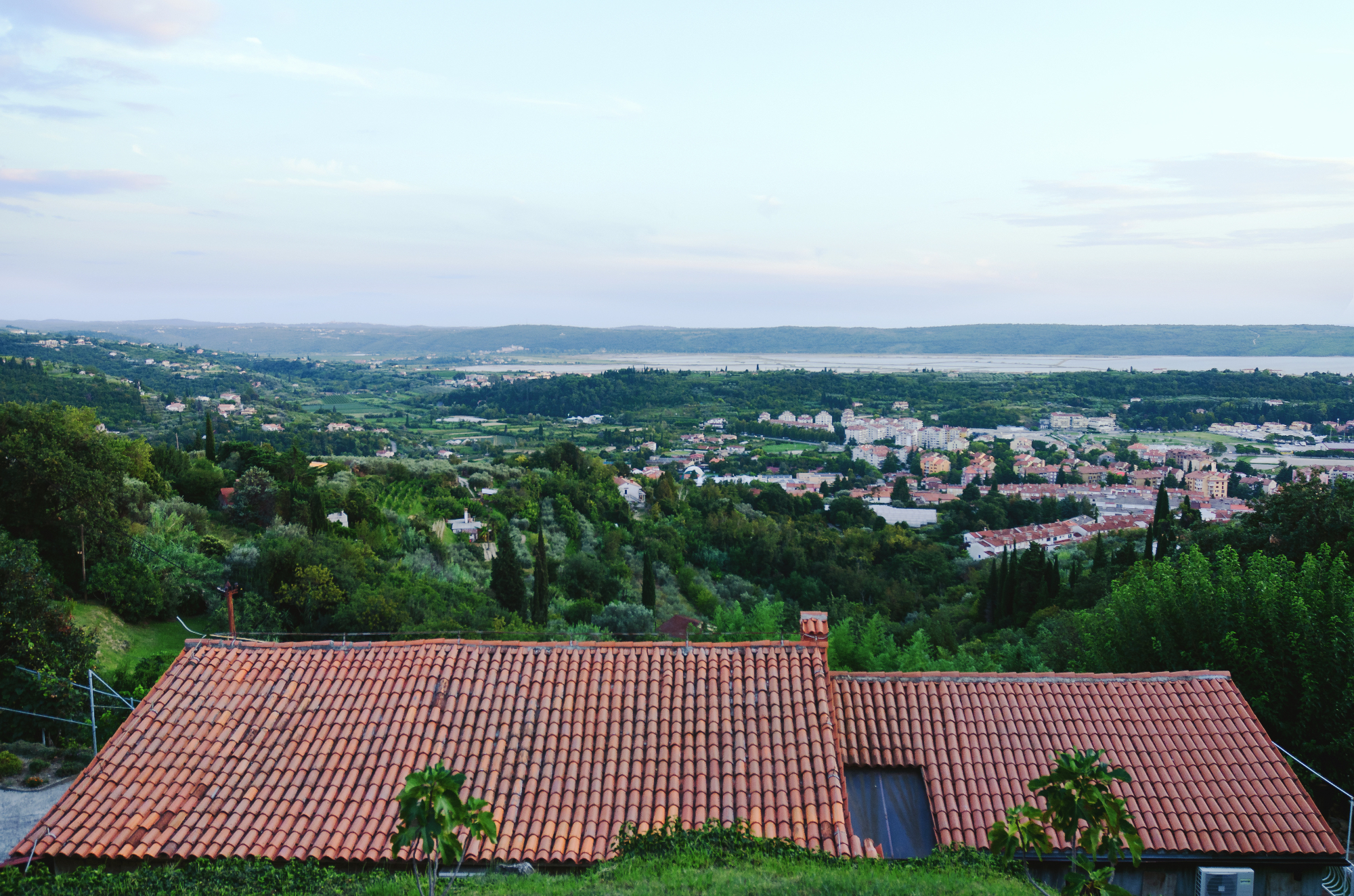 Našla sem lepo stanovanje na Obali in čez nekaj dni grem na ogled